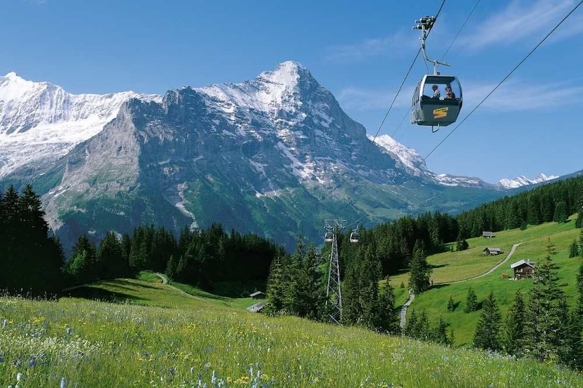 Grindelwald & Interlaken Day Trip from Lucerne