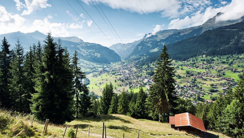 Grindelwald & Interlaken Day Trip from Lucerne