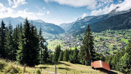 Excursion d'une journée à Grindelwald et Interlaken depuis Lucerne