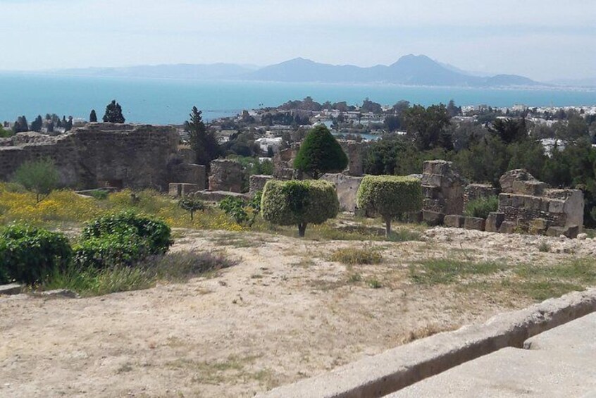 Carthage"Sidi Bou Said"Bardo"Tunis Medina