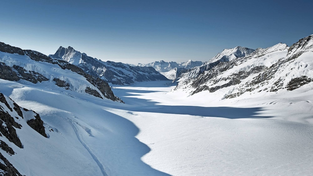 Jungfraujoch: Top of Europe Tour from Zurich
