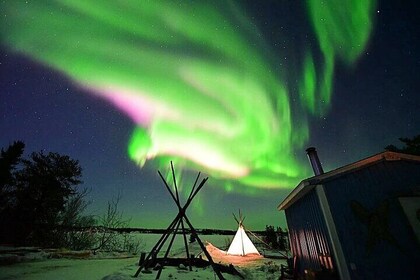 The Best Aurora Tour