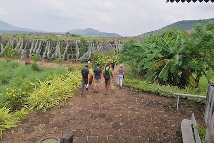 Kampot Tour Pepper Plantation, Salt Field, Cave, Secret Lake