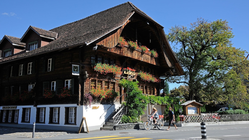 Wooden cabin complex in Zurich