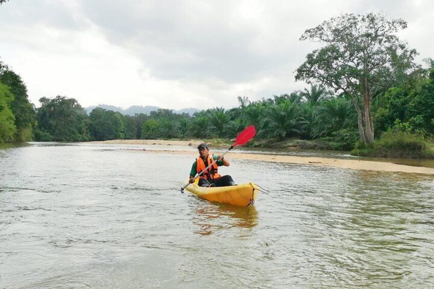 Little Amazon of Terengganu