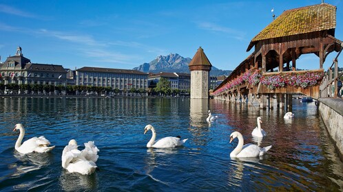 Excursion d'une journée à Lucerne au départ de Zurich