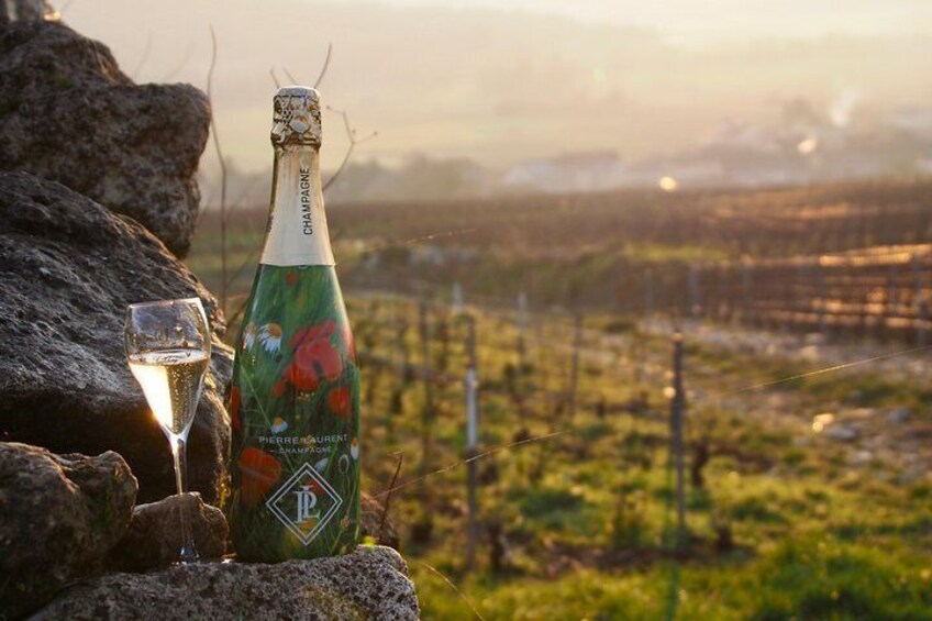 Coppée special vintage - blanc de blancs