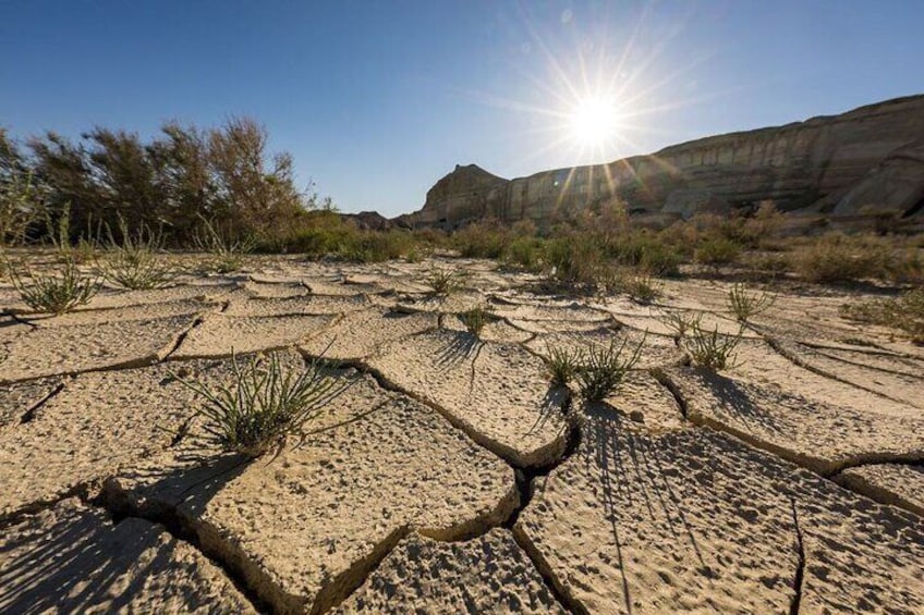 2 Days Private Tour To Aral Sea