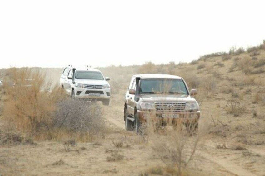 2 Days Private Tour To Aral Sea