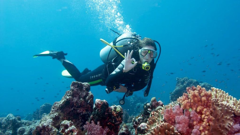 A scuba diver swimming past coral in Antalya