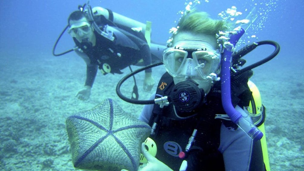 Two scuba divers exploring a coral reef in Antalya