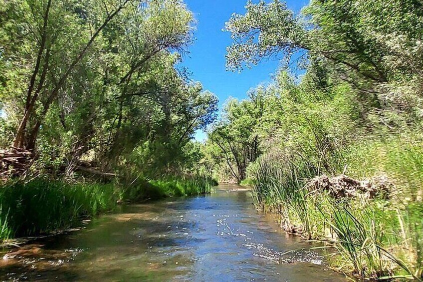 PRIVATE Guided River kayaking on the Verde River Cottonwood, AZ (Private Group)