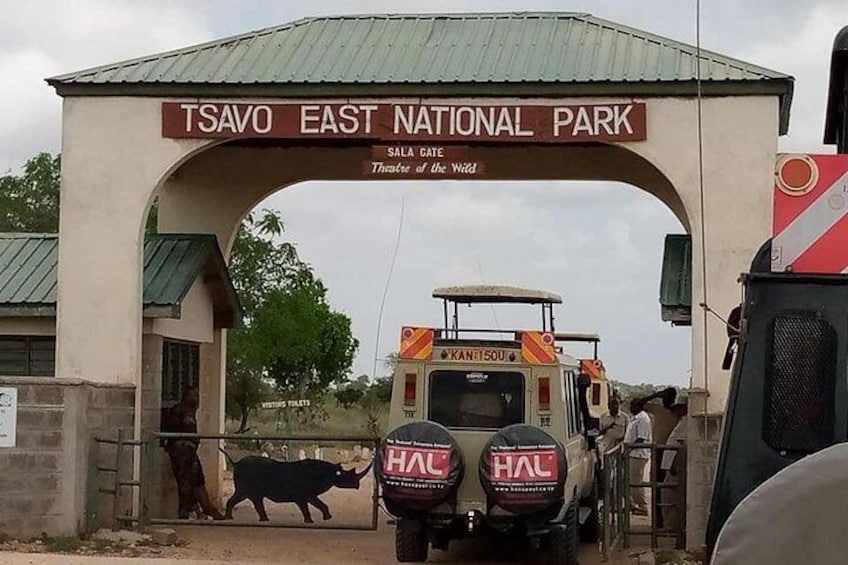 2-day safari in Tsavo East park