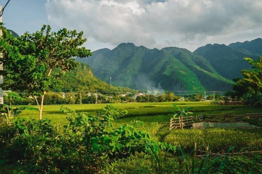 Mai Chau – Pu Luong Nature Reserve 3D2N (2 Nights in Mai Chau - Daily Departure)