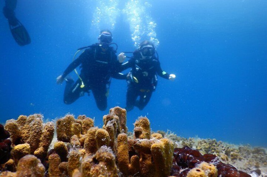Discover SCUBA DIVING stand-alone diving