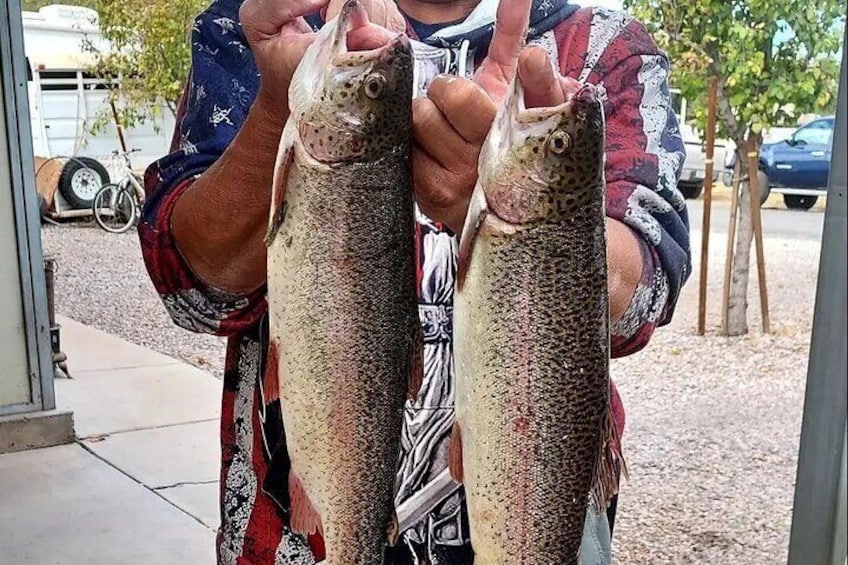 Half Day Guided Kayak Fishing Down the Verde River Cottonwood, AZ