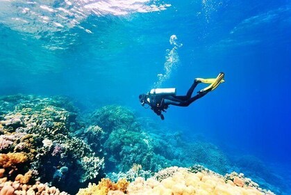 Scuba Diving from Hurghada