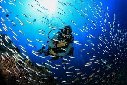 Scuba Diving from Hurghada