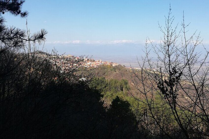 Kakheti full private day tour