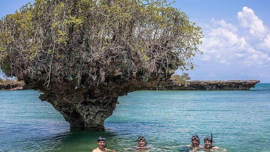 Snorkeling Safari Blue