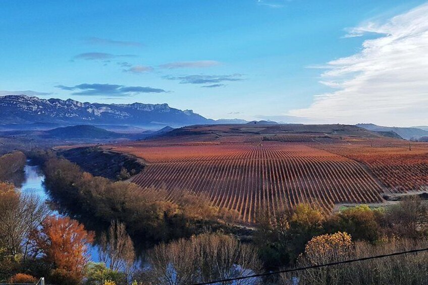 Discover the landscapes of Rioja