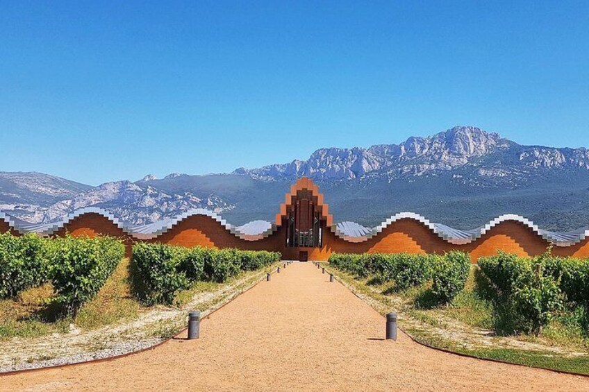 We can include visits / tastings in wineries with design
