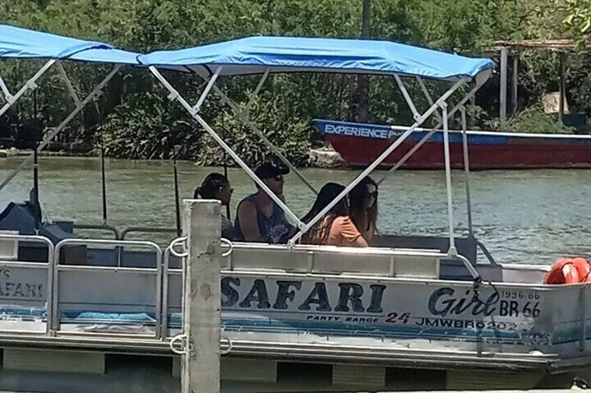 YS Falls , Black River Safari and Floyd's Pelican Bar