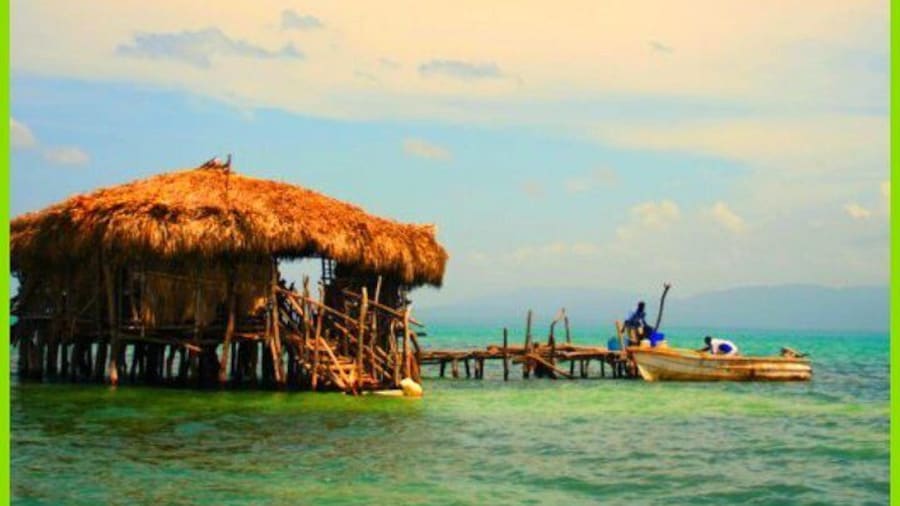 YS Falls , Black River Safari and Floyd's Pelican Bar