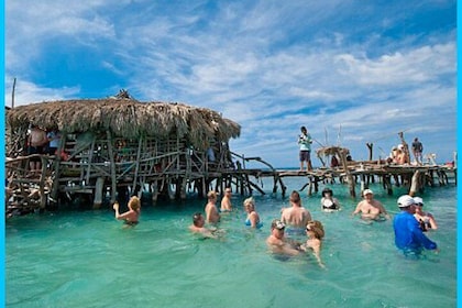 YS Falls , Black River Safari and Floyd's Pelican Bar