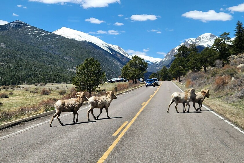 Discover Rocky Mountain National Park