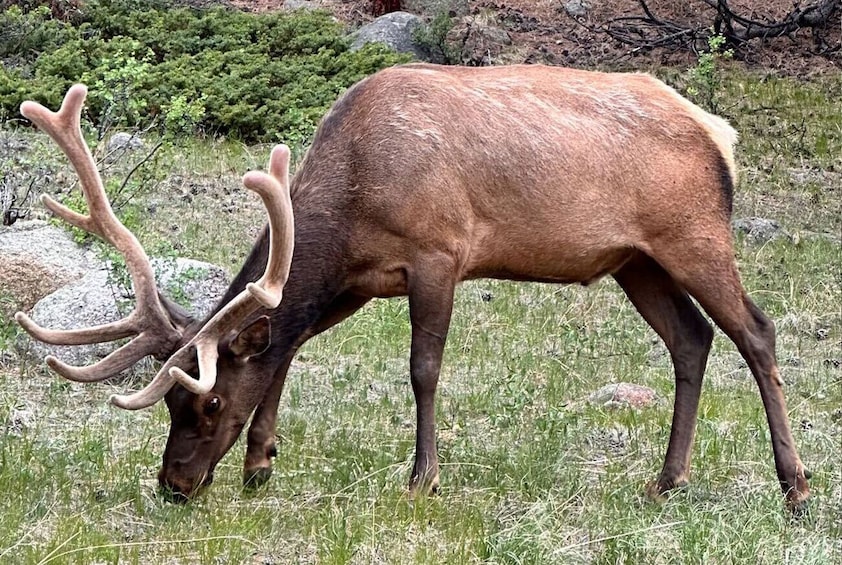 Discover Rocky Mountain National Park