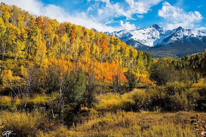 Descubre el Parque Nacional de las Montañas Rocosas