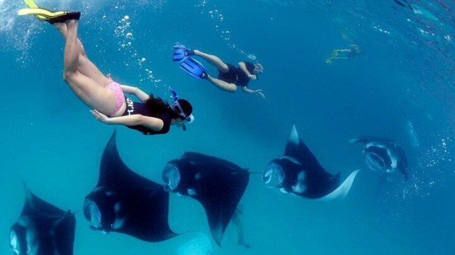 One Day Snorkeling Trip & West Tour Nusa Penida by Penidago