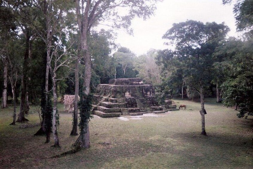 Uaxactún Private Archeology Tour