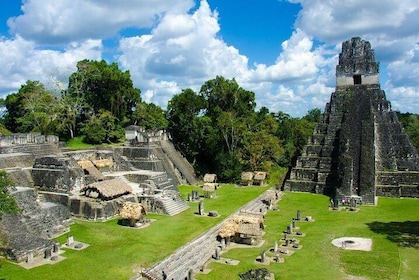 Tikal and Yaxha Exclusive Private Tour from Flores
