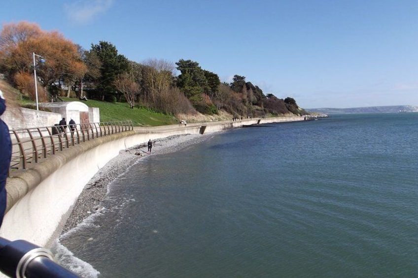 newtons cove my local beach