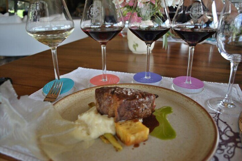 Intimate Wine Tour with Wine Pairing Lunch