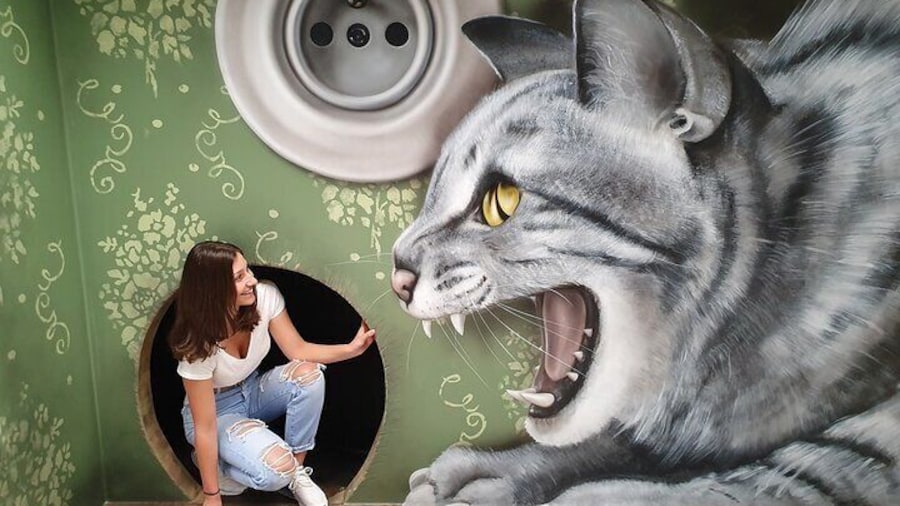 Museum of fantastic illusions