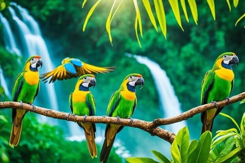 Rockland's Bird Sanctuary Tour - Round Trip