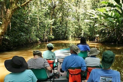 Tortuguero National Park and Canals Day Trip from San Jose