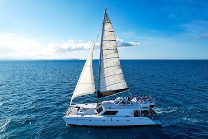 Premium Whitsunday Islands Sail, SUP & Snorkel Day Tour