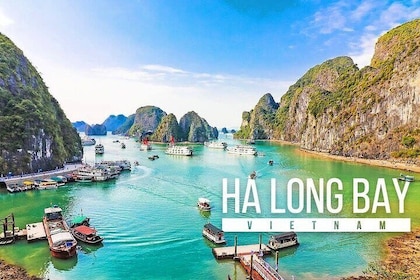 Halong Bay Standard Day Tour met Expressway Transfer vanuit Hanoi