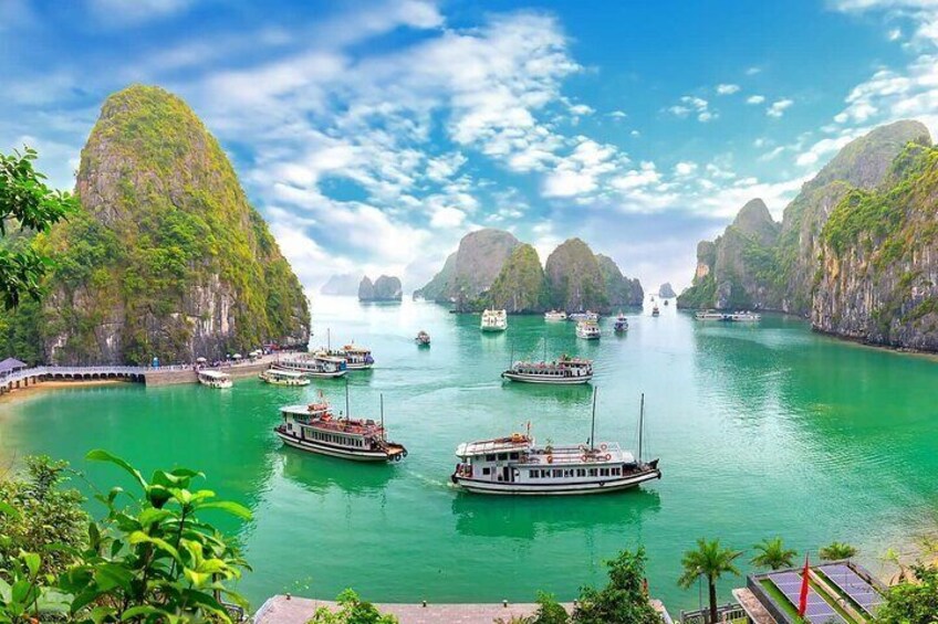 Halong Bay Standard Day Tour with Expressway Transfer from Hanoi