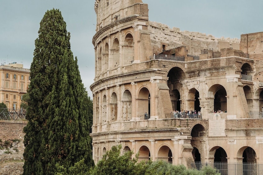 Premium Colosseum, Small Group Tour with Roman Forum & Palatine Hill