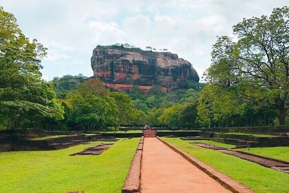 Sigiriya Lion Rock & Evening Safari Full Day Private Tour
