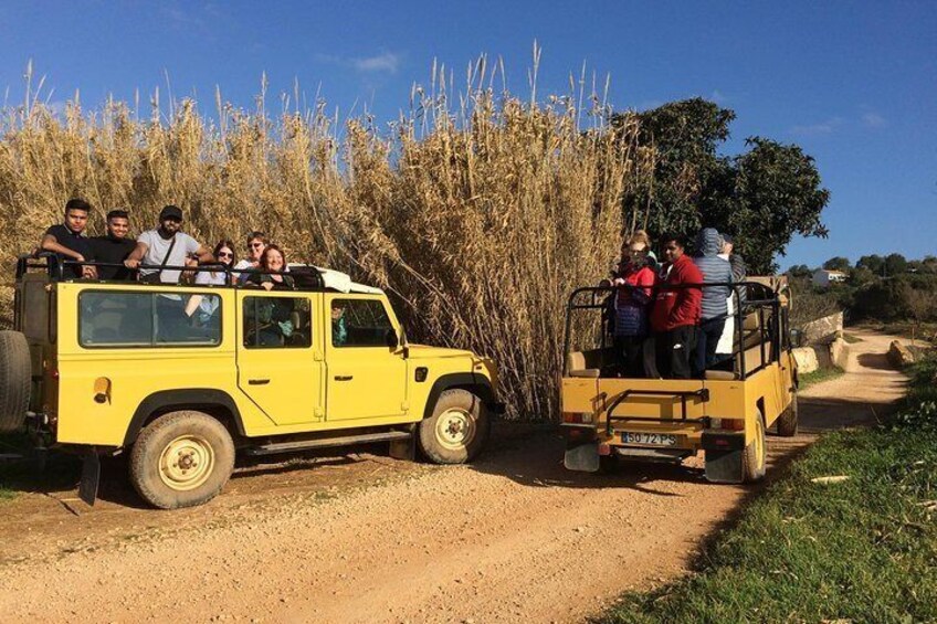 Jeep Safari, explore the nature