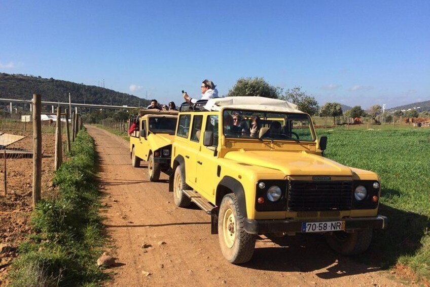 Jeep Safari, explore the nature