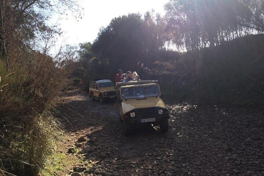 Jeep Safari, explore the nature