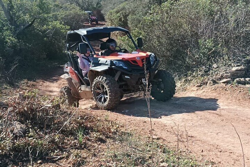 Buggy Adventure