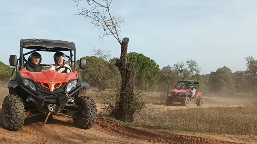 Buggy Adventure